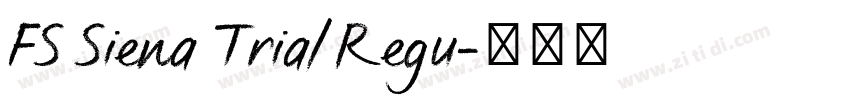 FS Siena Trial Regu字体转换